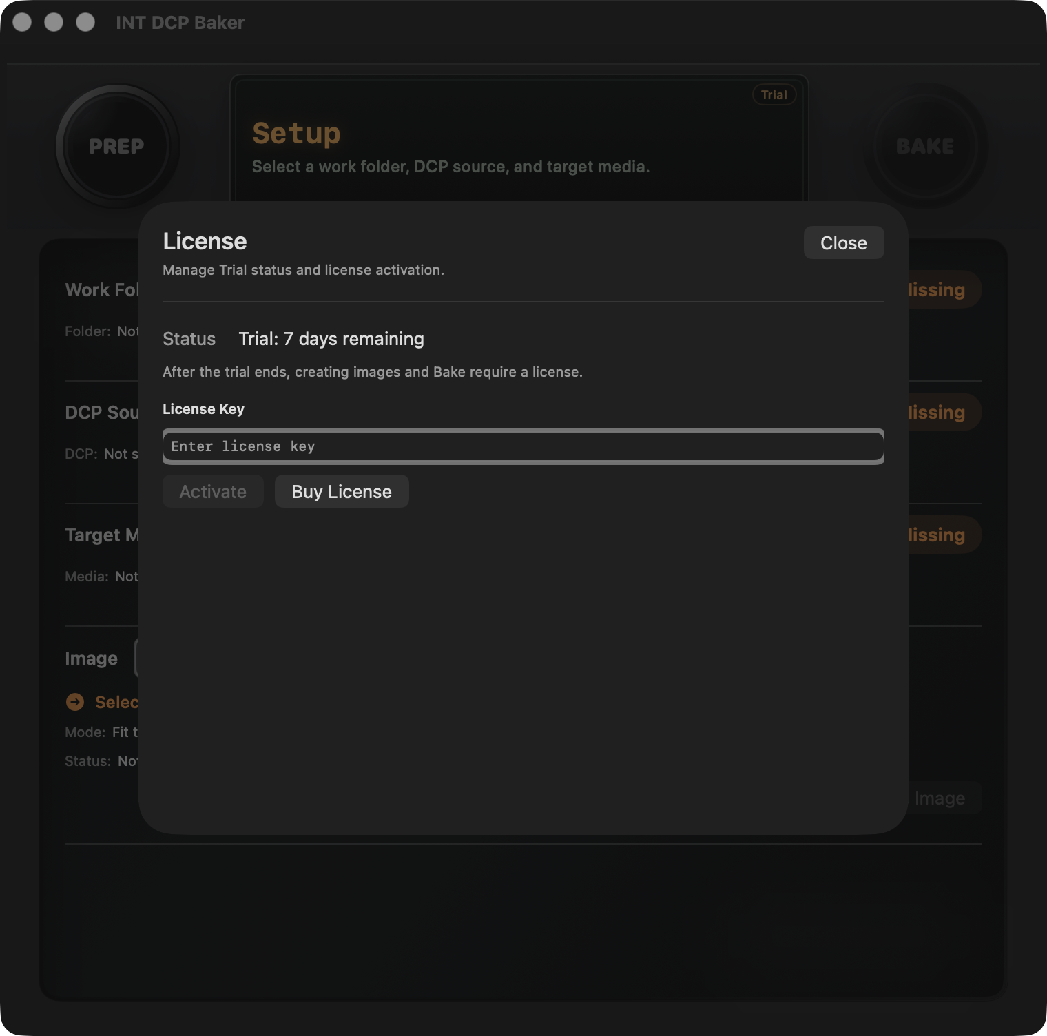 License window during the Trial period